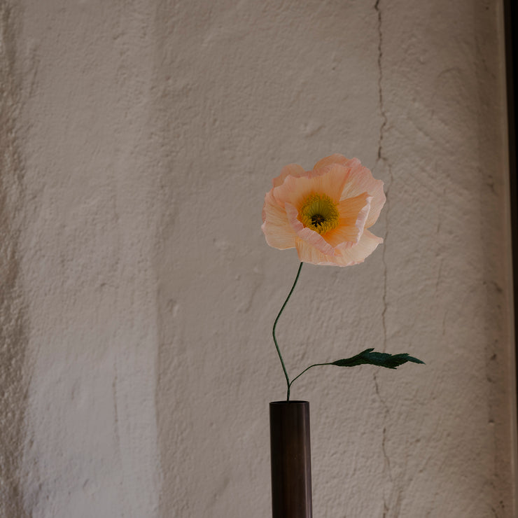 Poppy, Lys fersken