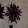 Papirblomst Labyrinth Dahlia, Mørk aubergine