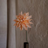 Papirblomst Labyrinth Dahlia, Fersken